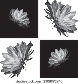 Black and White Flowers Vector