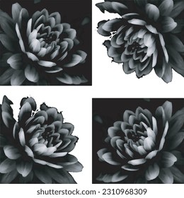 Black and White Flowers Vector