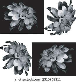 Black and White Flowers Vector