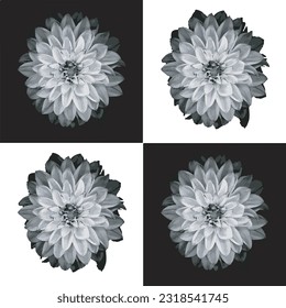 Black and White Flowers Vector