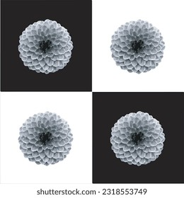 Schwarz-Weiß-Blumen-Vektorgrafik