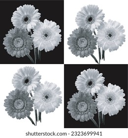 Black and White Flowers Vector