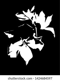Black and white flowers. 
Vector graphics. Stock vector illustration. Silhouette. Minimalism.  Chalk drawing. Computer graphics. 
