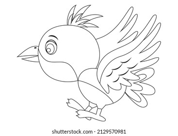 Pájaro volador negro y blanco