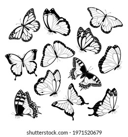 Black White Flying Butterflies Isolated On Stock Vector (Royalty Free ...