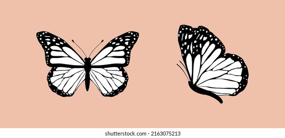 Black and white flying butterflies set isolated on pink background. Vector illustration for patterns, prints, coloring page.