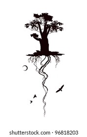 Black and white flying oak with the roots