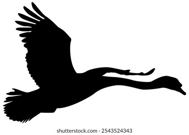 Black and White Flying Swan or Goose or Duck Silhouette Vector – Simple, Elegant Design Isolated on White, Scalable and Editable EPS for Art, Nature, and Wildlife Projects