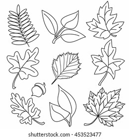 Black White Forest Autumn Leaves Vector Stock Vector (Royalty Free ...