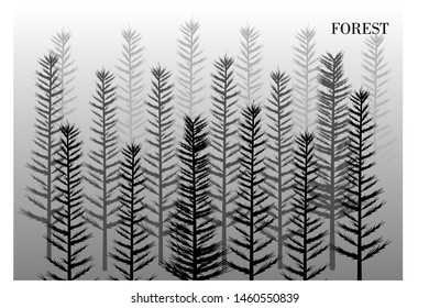 Black and white forest background design. vector illustration