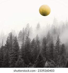 black and white forest background with golden moon, sun