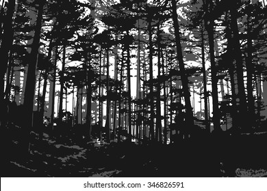 Black and white forest background with silhouette of trees