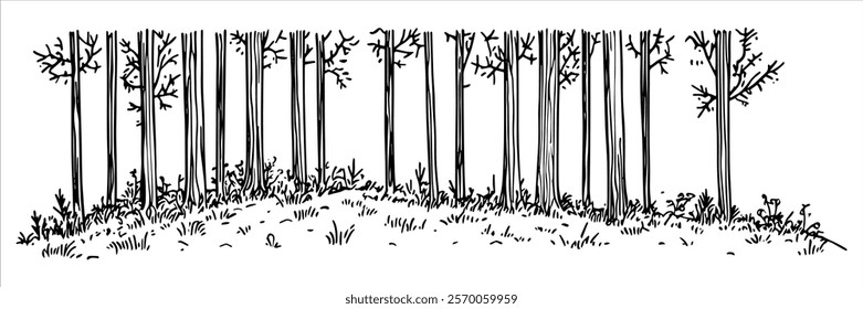 black and white forest illustration with tall trees and minimal details
