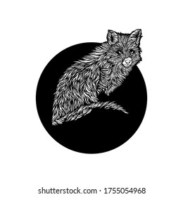 black and white fox mascot vector logo design