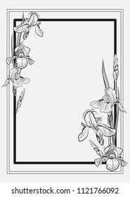 black and white frame with delicate contour irises