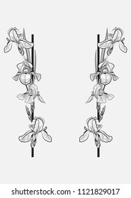 black and white frame with delicate contour irises