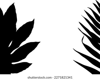 black and white frame. frame with palm leaves. tropical border