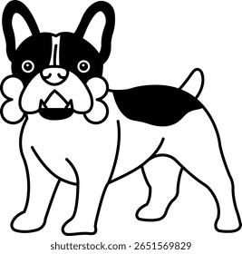 preto e branco um Bulldog francês com um osso