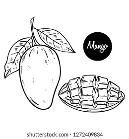 Featured image of post Sketch Mango Drawing - Collection by ani • last updated 3 weeks ago.