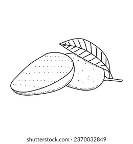 black and white fresh mango illustration with hand drawn or sketch style isolated on white background