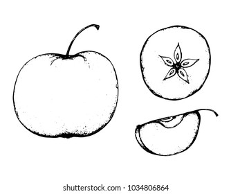 Black and white fruit sketch hand drawing isolated vector illustration