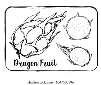 Black and white fruit sketch hand drawing isolated vector illustration