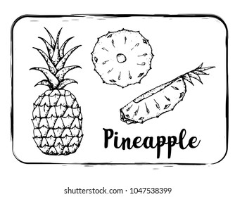 Black and white fruit sketch hand drawing isolated vector illustration