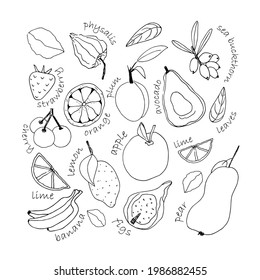 Black and white fruit vector illustration in doodle style. Fresh food bananas, dates, pear, apple, lemon, lime, avocado, plum, strawberry, cherry, physalis, stuck. Printing on fabric, glass