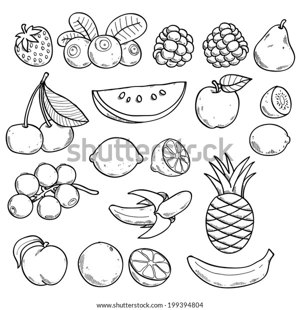 Black White Fruits Berries Hand Drawn Stock Vector (Royalty Free ...