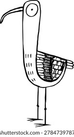 Black and white funny bird with long beak and legs