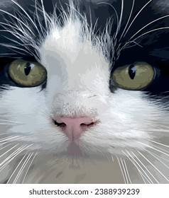 Black and White Furry Cat. Portrait of Elegance and Beauty