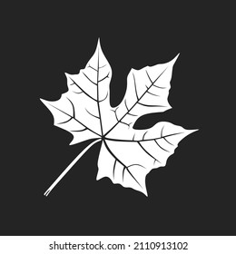 black and white gedi leaf silhouette, black background