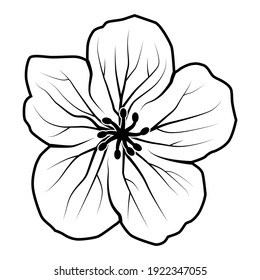 Black and white geranium flower logo on white background