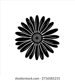 Margarida de gerbera preta e branca com pétalas distintas e um centro visível. Design de flor estilizado simples. Arte gráfica floral monocromática em branco.