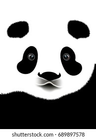 Black and white giant panda