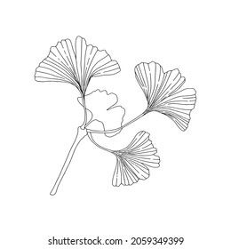 Black and white Ginkgo (Ginkgo biloba). Can be used for postcards, invitations, advertising, web, textile and other.