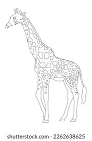 Black And White Giraffe Cartoon Character Vector. Coloring Page Of Cartoon Giraffe