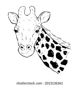 black and white giraffe head with hand draw or sketch style