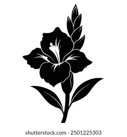 Schwarz Weiß Gladiolus Vektor Stil Silhouette Illustration