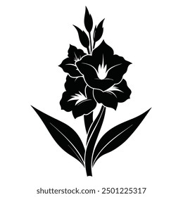 Schwarz Weiß Gladiolus Vektor Stil Silhouette Illustration