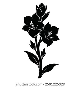 A Black White Gladiolus Vector Style Silhouette Illustration