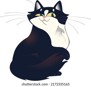 negro y blanco, buen gato 
