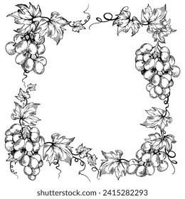 Black and white grape branches and leaves. Hand drawn vector illustration.