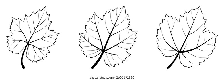 Black and White Grape Leaves Line Art - Printable Coloring Page
