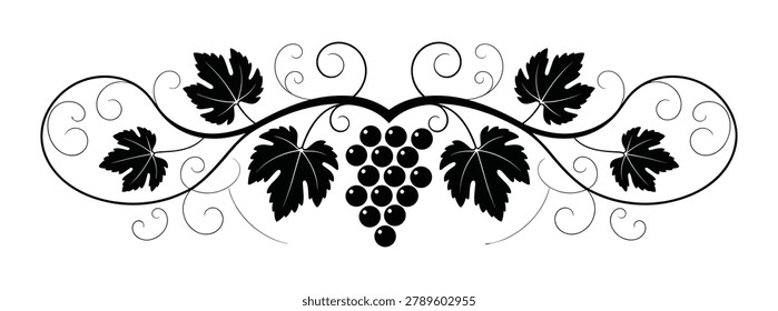 Black and white of a grape vine border with a central bunch of grapes and symmetrical swirling tendrils and jagged leaves isolated on a white background
