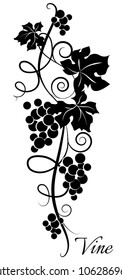 Black and white grapevine pattern.  Stylized grapes. Vector illustration.