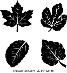 Diseño gráfico blanco y negro de varias hojas para el arte de la Naturaleza orgánica
