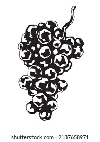 Black and white graphic drawing of grapes isolated on a white background. Traced image for illustration, prints, design.