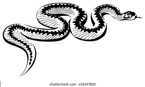 81,925 Black white snake Images, Stock Photos & Vectors | Shutterstock