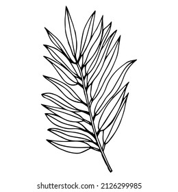 Black And White Graphic Illustration. Line Work Tattoo Sketch Simple Branch